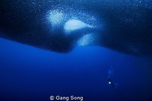 Heaven eyes by Gang Song 